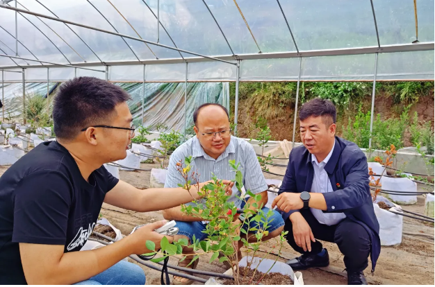 1724248016289618.png 微信图片_20240821214638.png